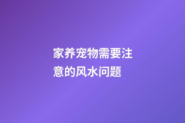 家养宠物需要注意的风水问题