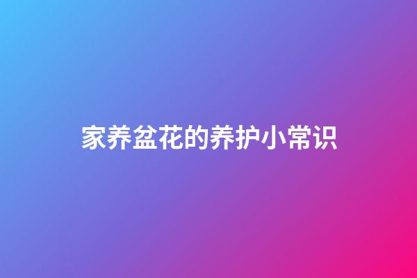 家养盆花的养护小常识