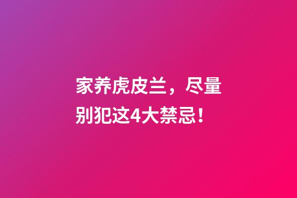 家养虎皮兰，尽量别犯这4大禁忌！