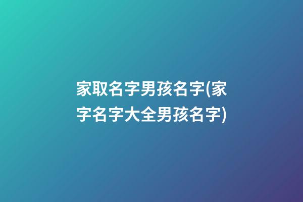 家取名字男孩名字(家字名字大全男孩名字)