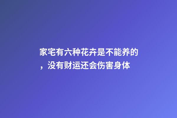 家宅有六种花卉是不能养的，没有财运还会伤害身体