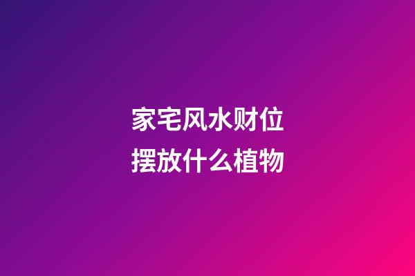 家宅风水财位摆放什么植物