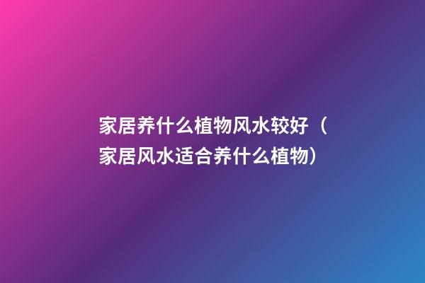 家居养什么植物风水较好（家居风水适合养什么植物）