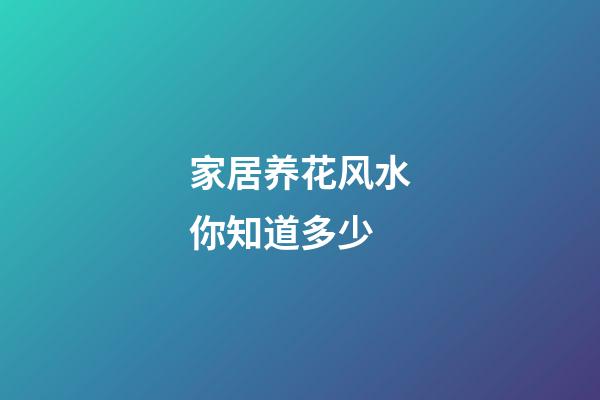 家居养花风水你知道多少