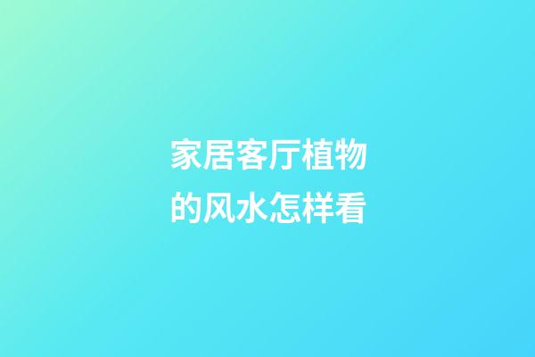 家居客厅植物的风水怎样看