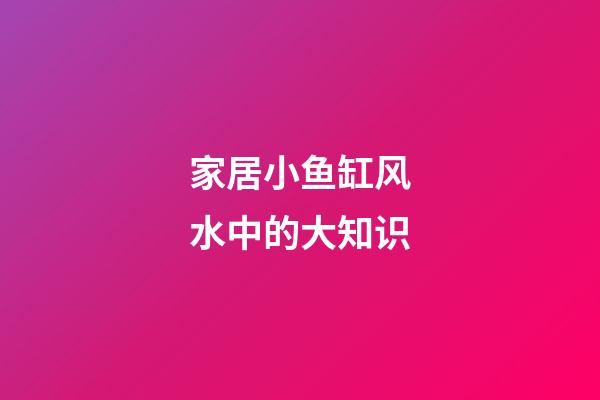 家居小鱼缸风水中的大知识