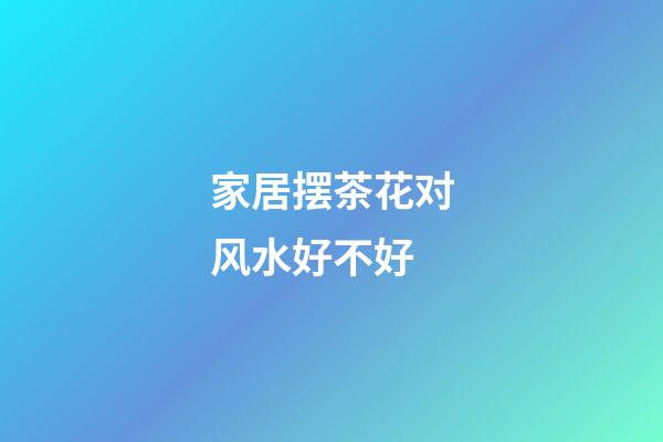 家居摆茶花对风水好不好