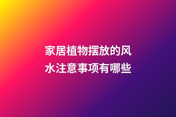 家居植物摆放的风水注意事项有哪些