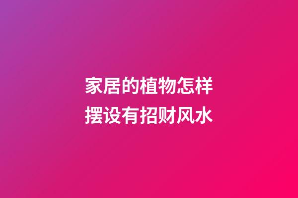 家居的植物怎样摆设有招财风水