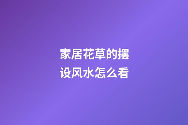 家居花草的摆设风水怎么看