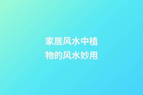 家居风水中植物的风水妙用