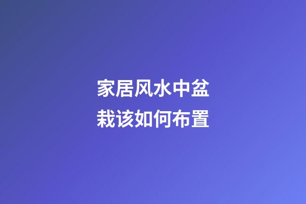 家居风水中盆栽该如何布置