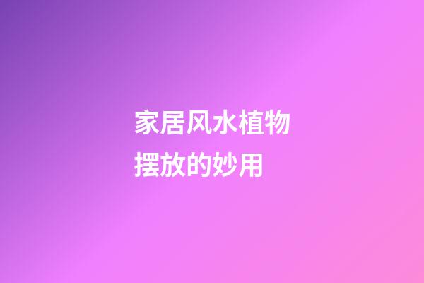 家居风水植物摆放的妙用