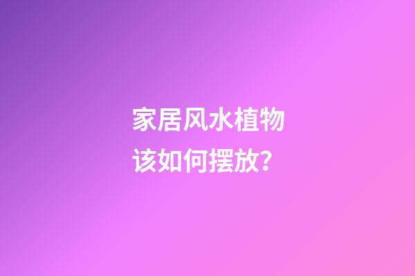 家居风水植物该如何摆放？