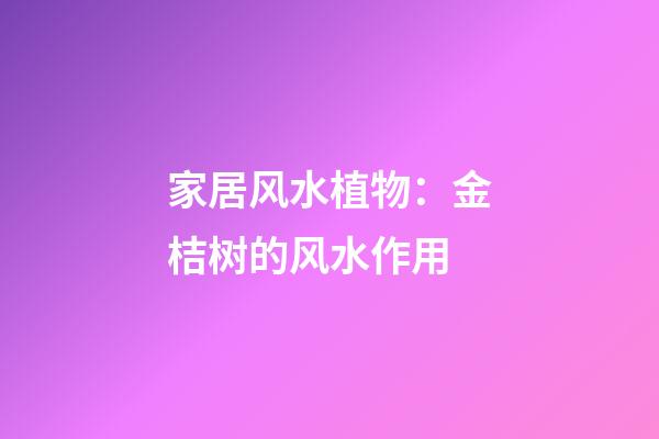 家居风水植物：金桔树的风水作用