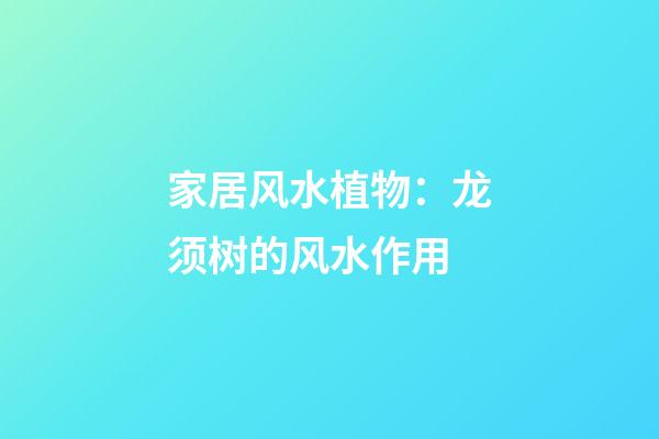 家居风水植物：龙须树的风水作用