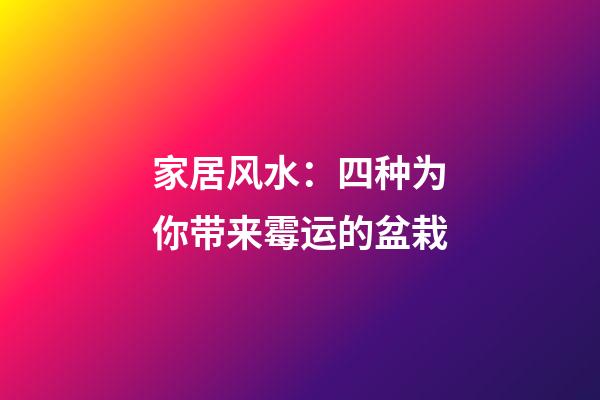 家居风水：四种为你带来霉运的盆栽