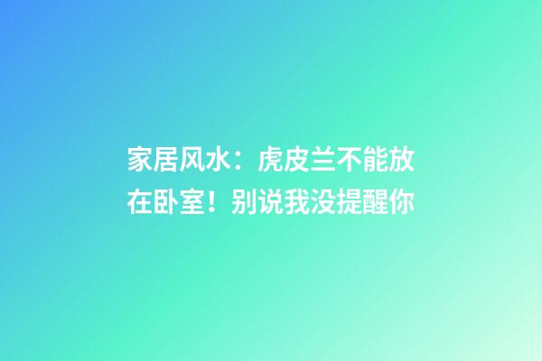 家居风水：虎皮兰不能放在卧室！别说我没提醒你