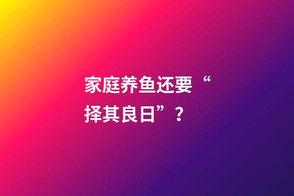 家庭养鱼还要“择其良日”？