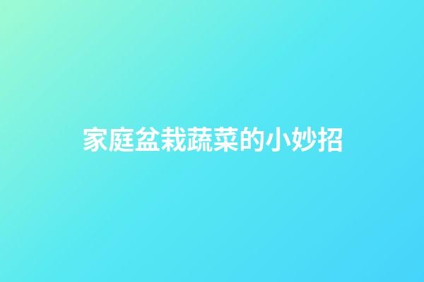 家庭盆栽蔬菜的小妙招