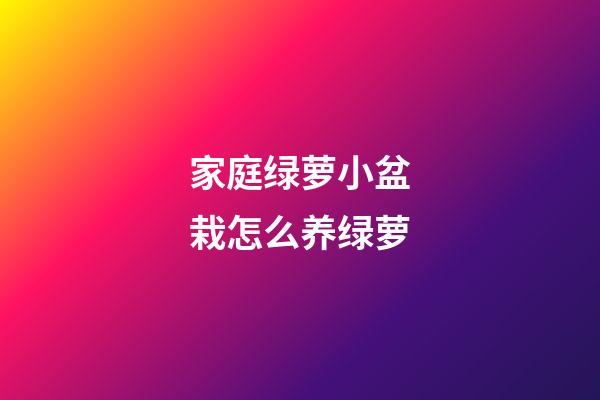 家庭绿萝小盆栽怎么养绿萝