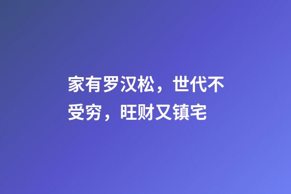家有罗汉松，世代不受穷，旺财又镇宅