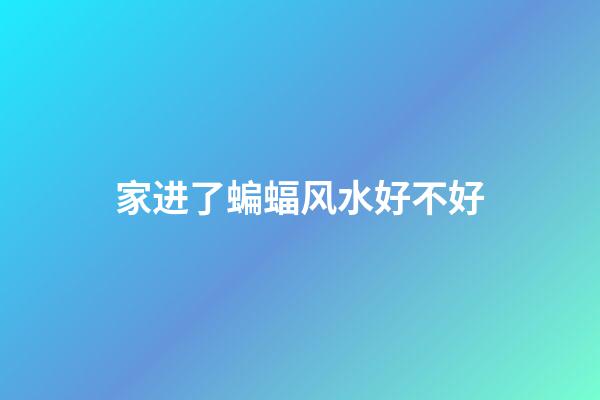 家进了蝙蝠风水好不好