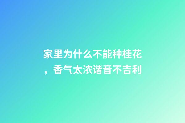 家里为什么不能种桂花，香气太浓谐音不吉利