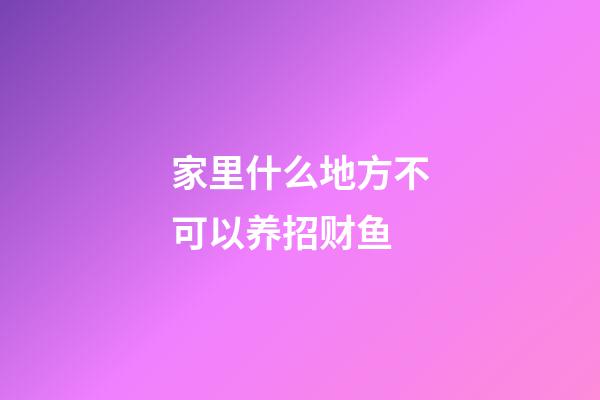 家里什么地方不可以养招财鱼