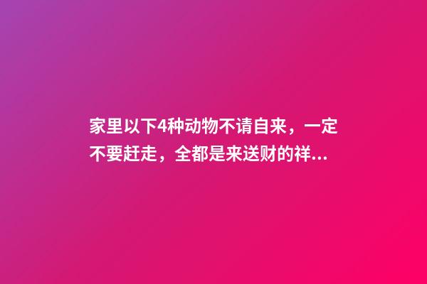家里以下4种动物不请自来，一定不要赶走，全都是来送财的祥瑞！（七种动物不请自来家里是吉兆）