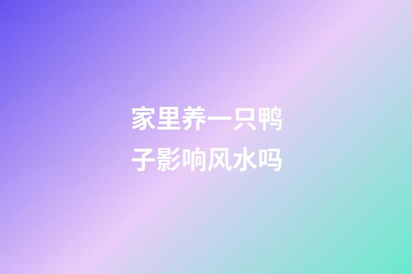家里养一只鸭子影响风水吗