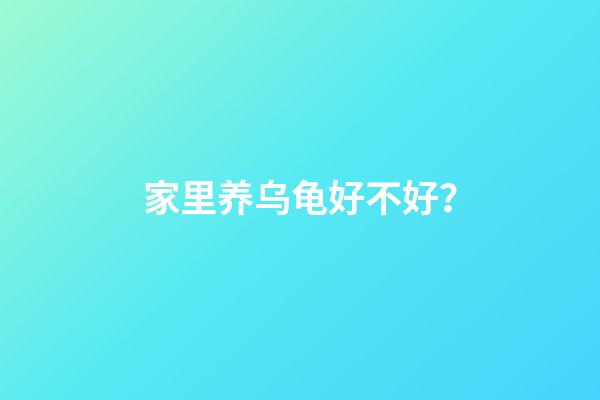 家里养乌龟好不好？