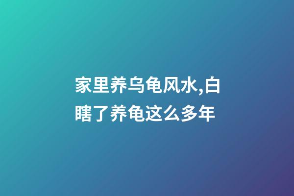 家里养乌龟风水,白瞎了养龟这么多年-第1张-观点-玄机派
