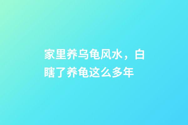 家里养乌龟风水，白瞎了养龟这么多年-第1张-观点-玄机派