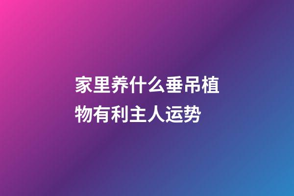 家里养什么垂吊植物有利主人运势