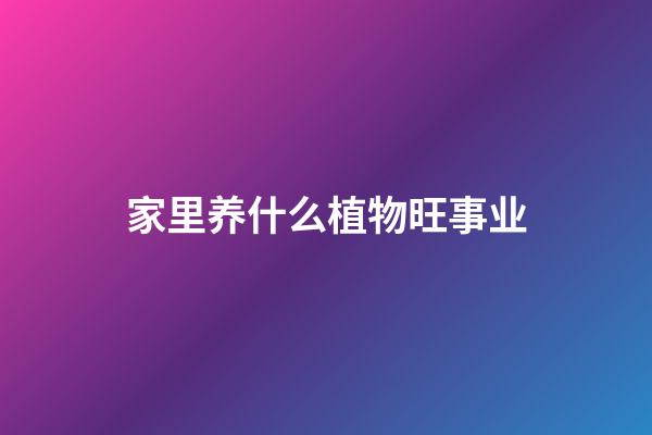 家里养什么植物旺事业