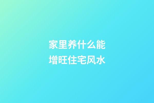 家里养什么能增旺住宅风水
