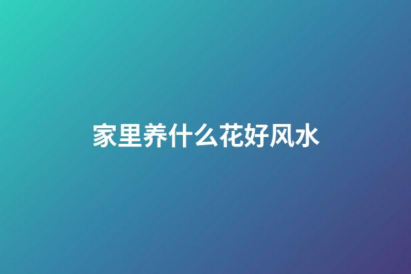 家里养什么花好风水