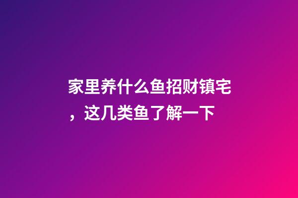 家里养什么鱼招财镇宅，这几类鱼了解一下