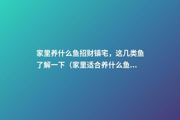 家里养什么鱼招财镇宅，这几类鱼了解一下（家里适合养什么鱼招财镇宅）