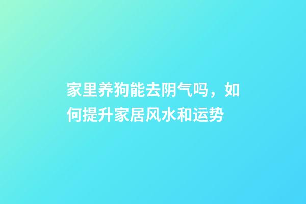 家里养狗能去阴气吗，如何提升家居风水和运势