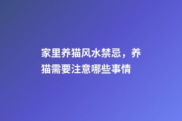 家里养猫风水禁忌，养猫需要注意哪些事情