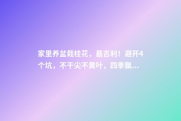 家里养盆栽桂花，最吉利！避开4个坑，不干尖不黄叶，四季飘香