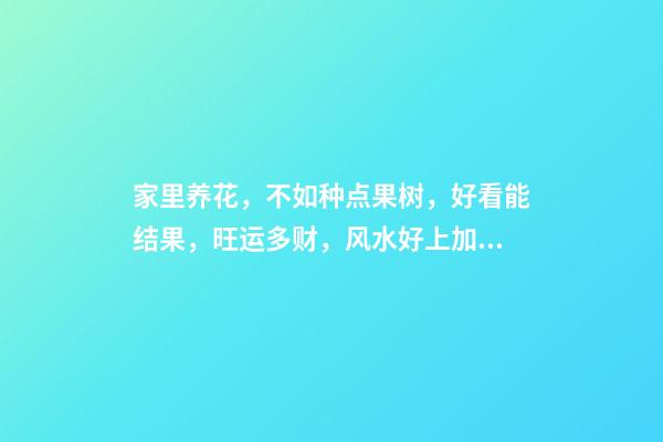 家里养花，不如种点果树，好看能结果，旺运多财，风水好上加好（家里种什么果树风水好又旺财）
