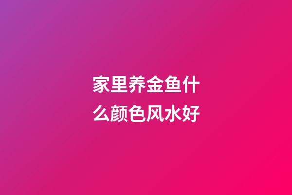 家里养金鱼什么颜色风水好