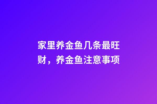 家里养金鱼几条最旺财，养金鱼注意事项