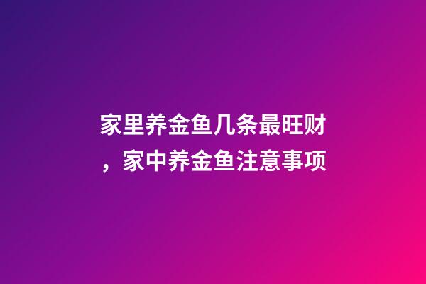 家里养金鱼几条最旺财，家中养金鱼注意事项