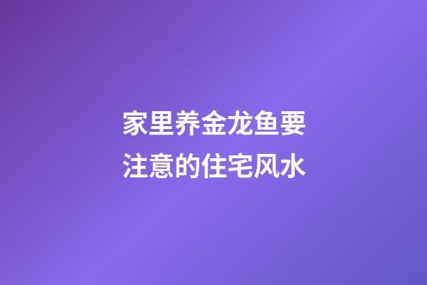 家里养金龙鱼要注意的住宅风水