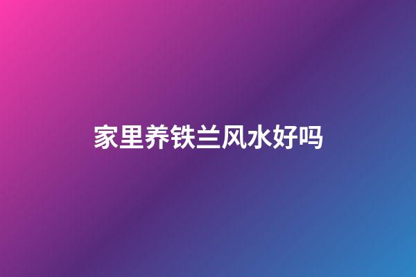 家里养铁兰风水好吗