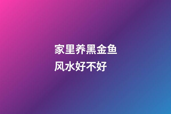 家里养黑金鱼风水好不好